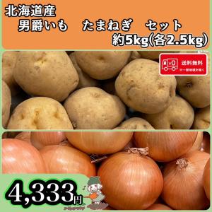 希少の北海道産!!】送料無料 北海道産 ベルギーエシャロット コン