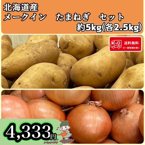 送料無料  常備野菜セット 北海道産 メークイン たまねぎ 5kg(各2.5kg)  北海道の味覚詰...