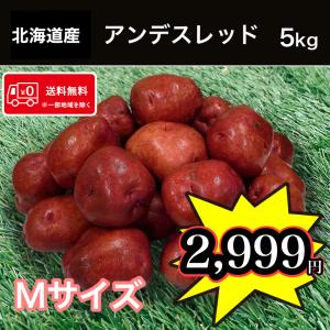 送料無料 北海道産 アンデスレッド Mサイズ 5kg じゃがいも 馬鈴薯