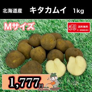 優良品種!! 1kgお試し 送料無料 北海道産 ピルカ Mサイズ 1kg
