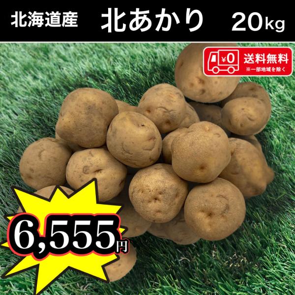 送料無料 北海道産 北あかり 20kg Mサイズ じゃがいも 馬鈴薯 お得な大容量