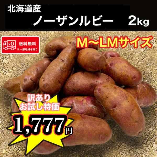 北海道産 ノーザンルビー 2kg 訳あり 食品ロス M〜LMサイズ混合 送料無料【お試し価格】
