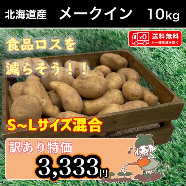 送料無料 北海道産 メークイン 訳あり 食品ロス S〜Lサイズ混合 10kg  じゃがいも 馬鈴薯【...