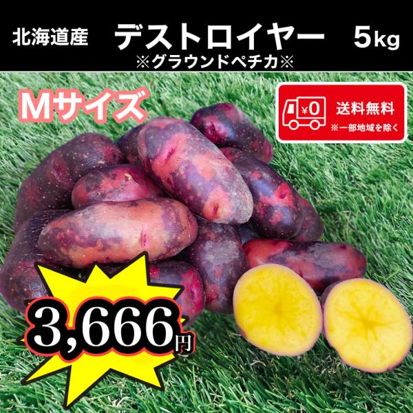 送料無料 北海道産 デストロイヤー Mサイズ 5kg じゃがいも 馬鈴薯