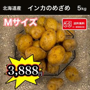 北海道産インカのめざめ Mサイズ5kg  じゃがいも 馬鈴薯