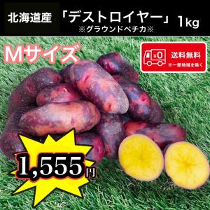 ≪週末限定セール!!≫希少じゃがいも1kgお試し販売 北海道産 デストロイヤー Mサイズ 1kg 送料無料 馬鈴薯