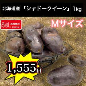 希少じゃがいも1kgお試し販売 北海道産 シャドークイーン