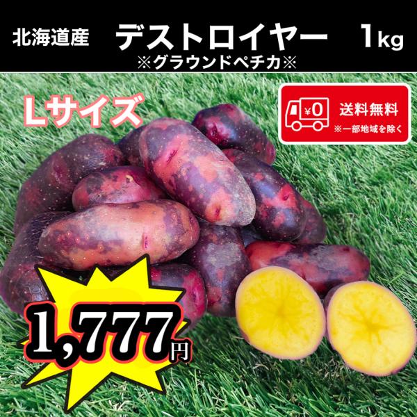 希少じゃがいも 北海道産 デストロイヤー Mサイズ 1kg 送料無料 お試し 馬鈴薯