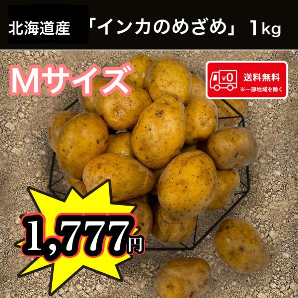 希少じゃがいも 北海道産 インカのめざめ Mサイズ 1kg 送料無料 お試し じゃがいも 馬鈴薯