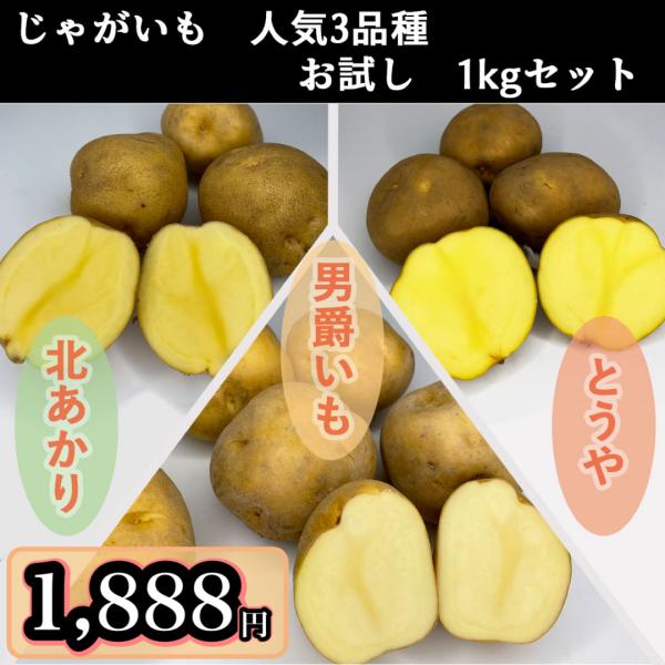 北海道産 じゃがいも 人気定番3品種 お試し1kgセット 男爵・北あかり・とうや Mサイズ 1kg ...