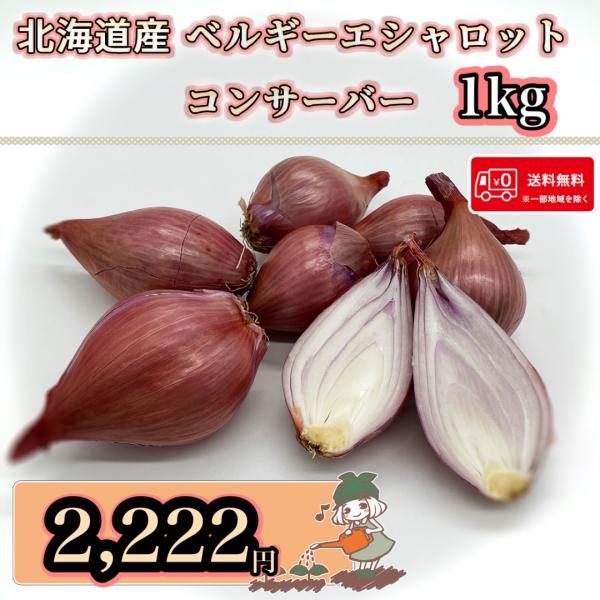 【希少の北海道産!!】送料無料 北海道産 ベルギーエシャロット コンサーバー 1kg