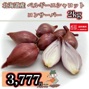 【希少の北海道産!!】送料無料 北海道産 ベルギーエシャロット コンサーバー 2kg｜株式会社 双葉屋