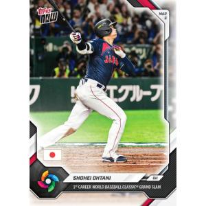 futoinu-shokai_tpps-26tn-w004