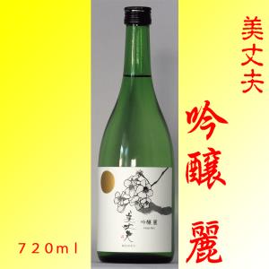 美丈夫 吟醸 麗 720ml×2本 濱川商店 高知県