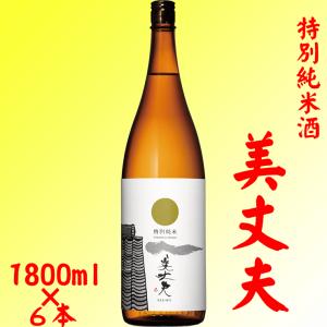 特別純米 美丈夫 1800m×6本 濱川商店 高知県 送料無料
