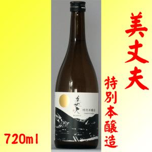 日本酒 美丈夫 特別本醸造 720ml×2本 濱川商店 高知県