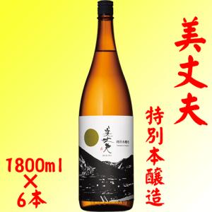 日本酒 美丈夫 特別本醸造 1800ml×6本 濱川商店 高知県　送料無料