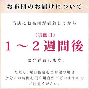 布団クリーニング 詰め放題 送料無料 種類サイ...の詳細画像1