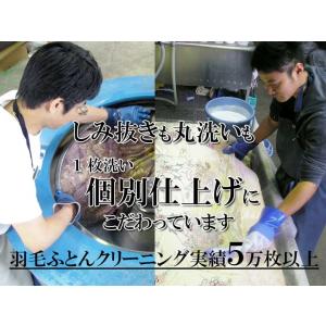 布団クリーニング 詰め放題 送料無料 種類サイ...の詳細画像3