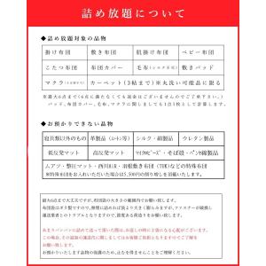 布団クリーニング 詰め放題 送料無料 種類サイ...の詳細画像2