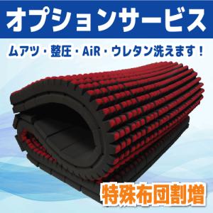 ムアツ 整圧 雲のやすらぎ等 布団クリーニング 布団丸洗い 【オプション】 特殊ふとん割増☆オプション単品の注文は自動キャンセル☆布団1枚につき1個必要｜futon-ai-clean