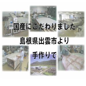 敷きふとん ブレスエアー 体圧分散敷きふとん ...の詳細画像5
