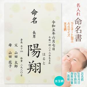 命名書 男の子用 お名前＋生年月日＋ご両親 命名紙 名入れ オーダー