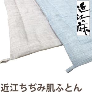 西川（nishikawa） 掛け布団 麻肌布団 洗える 麻100％ 肌掛ふとん