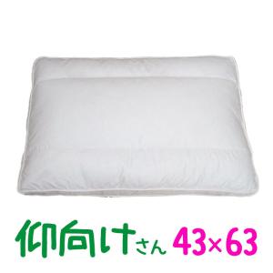 送料無料 ダウンピロー 50×70cm バックスリーパー サンモト/日本製