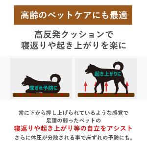 日本製 ペット用ファインエアー 丸洗い 大型犬...の詳細画像1
