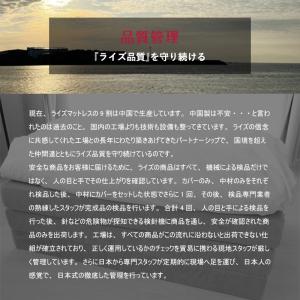 高反発マットレス 体圧分散 ライズ ゼログラビ...の詳細画像5