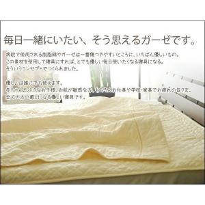 スパテクノ 西式健康法 甲田療法 桐製平床 寝台 小 二つ折り 松下創芸
