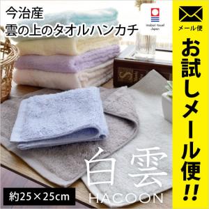 三國無双 趙雲 マルチクリーナー ハンカチ 今治 タオルチーフ タオルハンカチ 3枚セット 抗菌防臭 アース