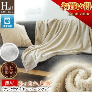 西川（nishikawa） 京都西川 B格品 ハーフケットB（ハーフサイズ） 140