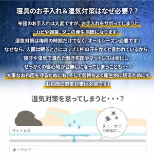 すのこ型除湿マット エアジョブMAX 抗菌防臭...の詳細画像3