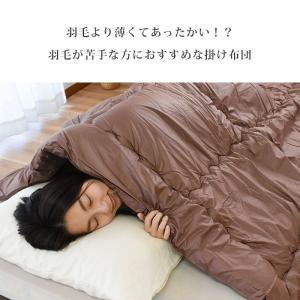 シンサレート掛け布団 シングル シンサレート ...の詳細画像1