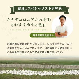 羽毛布団 ダブル カナダ産プレミアムダウン95...の詳細画像3