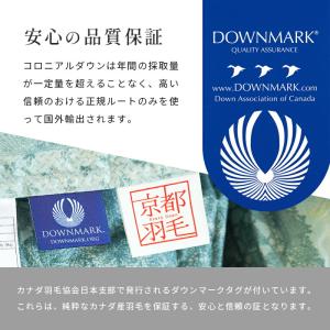 羽毛布団 ダブル カナダ産マザーグースダウン9...の詳細画像5