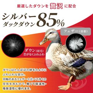 羽毛布団 シングル フランス産 ダックダウン8...の詳細画像5