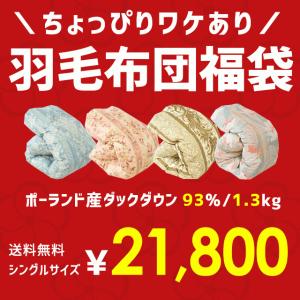羽毛布団 福袋 シングル ポーランド産ダックダウン93％ 増量1.3kg 日本製 羽毛掛け布団 色柄おまかせ ロイヤルゴールドラベル
