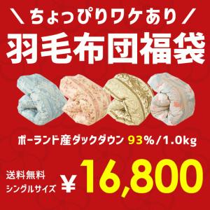 羽毛布団 福袋 シングル ポーランド産ダックダウン93％ 1.0kg 日本製 羽毛掛け布団 色柄おまかせ ロイヤルゴールドラベル