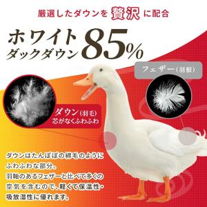 羽毛布団 シングルロング 日本製 ホワイトダッ...の詳細画像4