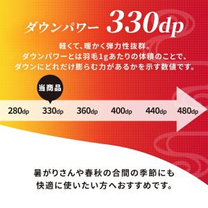 羽毛布団 シングルロング 日本製 ホワイトダッ...の詳細画像5