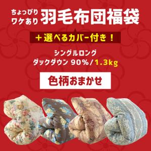 羽毛布団 福袋 シングル ダックダウン90％ 1.3kg 日本製 羽毛掛け布団 色柄おまかせ 選べる暖か掛カバー付きセット set｜futon