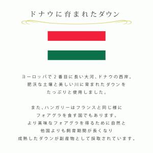 羽毛肌掛け布団 セミダブル ハンガリー産ダウン...の詳細画像4