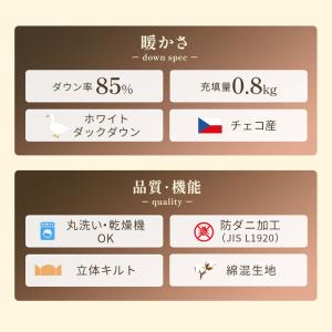 羽毛合掛け布団 シングル チェコ産ダウン85%...の詳細画像1