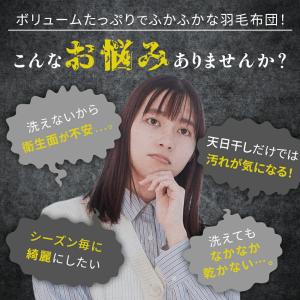 羽毛合掛け布団 シングル チェコ産ダウン85%...の詳細画像2