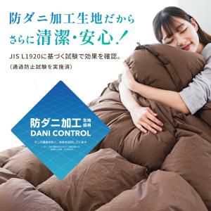 羽毛合掛け布団 シングル チェコ産ダウン85%...の詳細画像5