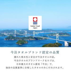 タオルケット ギフト 母の日 今治 シングル ...の詳細画像4