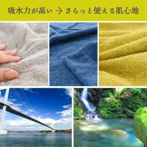 西川 今治タオルケット シングル 日本製 綿1...の詳細画像5